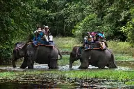 Jim Corbett National Park elephant safari